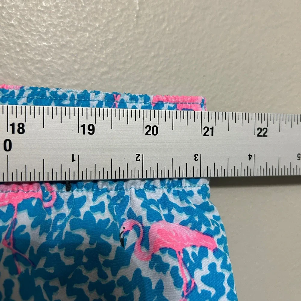 Chubbies Swim Trunks Mens XL Blue Pink Flamingo 7